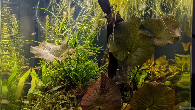 Oktober von Tobes (5)