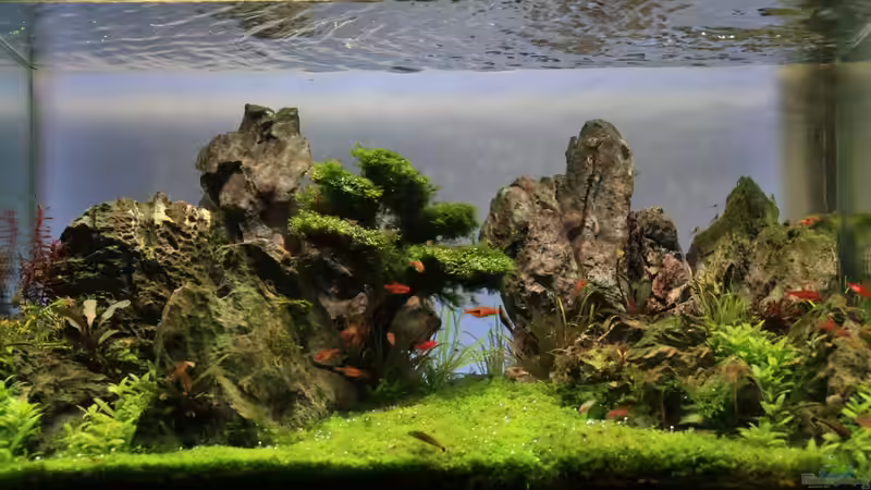 On The Rocks von LouFe (1)