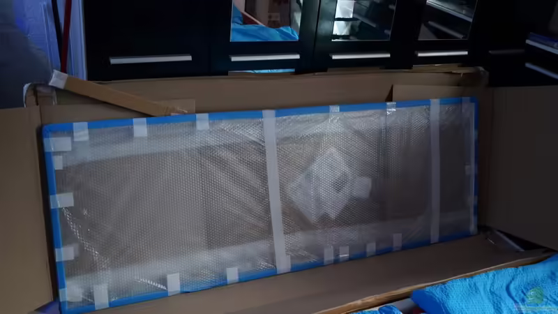 Opti White Frontglasscheibe von tattooindi (11)