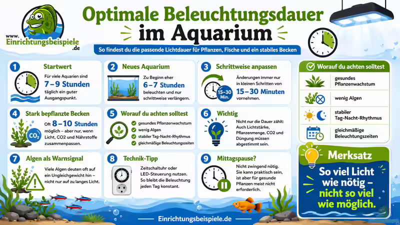 Optimale Beleuchtungsdauer für ein Aquarium: So lässt sie sich bestimmen