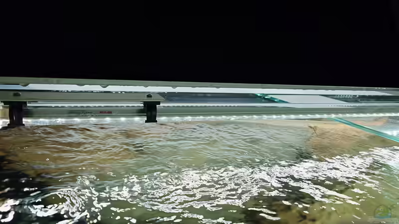 Optimale Beleuchtungszeiten im Aquarium - der umfassende Leitfaden für gesunde Fische und prächtige Pflanzen