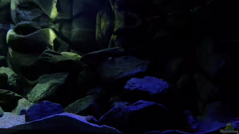 Optische Spielereien 22.12.12 von bossie1704 (10)