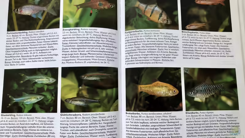 Orientierung in der Aquaristik - Fisch-Arten 1/2