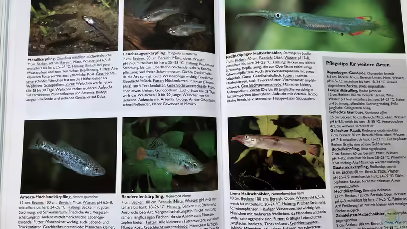 Orientierung in der Aquaristik - Fisch-Arten 1/2