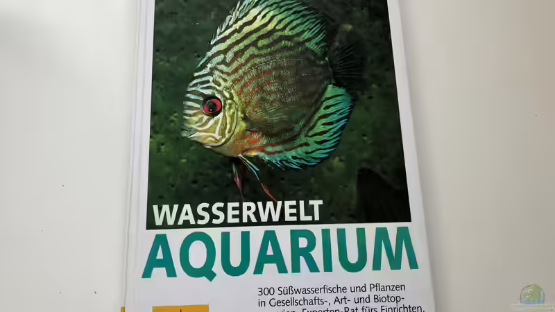 Orientierung in der Aquaristik - Fisch-Arten 1/2