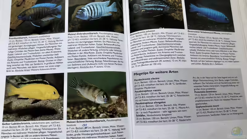 Orientierung in der Aquaristik - Fisch-Arten 1/2