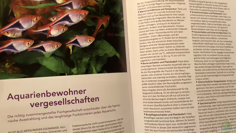 Orientierung in der Aquaristik - Fisch-Arten 2/2