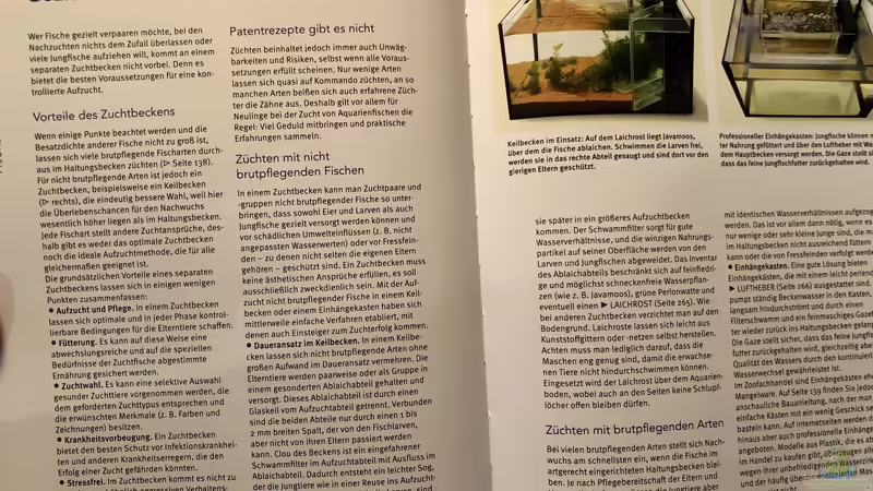 Orientierung in der Aquaristik - Fisch-Arten 2/2