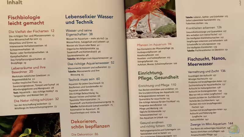 Orientierung in der Aquaristik - Fisch-Arten 2/2