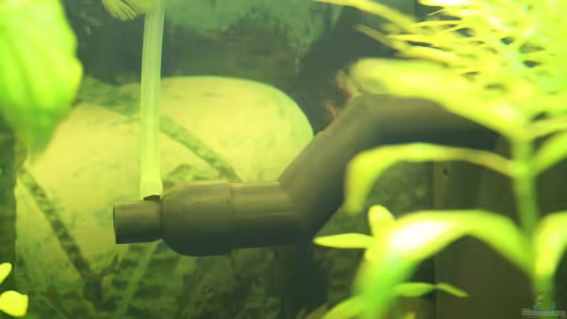 Orig.Innenfilterausgang  mit Diffusor von Ralf Kl (16)