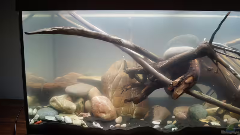 original Beleuchtung von Rootsman (55)