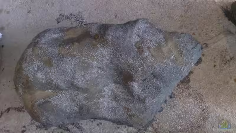 Original oder Eigenbau?!? (Rückwandmodule)