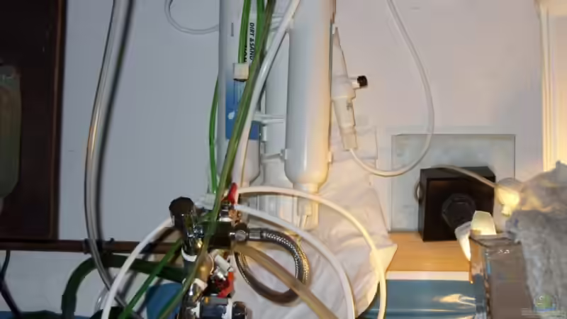 Osmose klein von Ulrich Sauerhering (54)