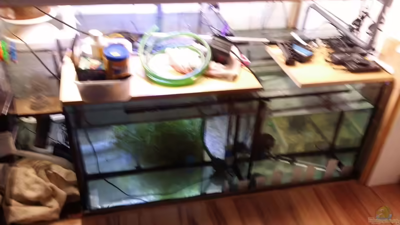 Osmosebecken  von slobe (72)