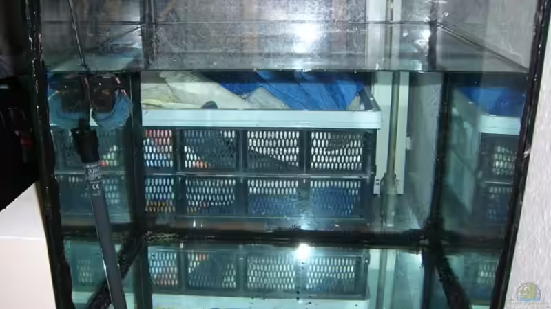 Osmosewasser auffang und aufbereitungs Becken (125l) von Johannes (15)