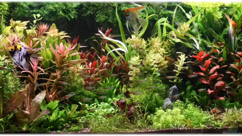 Ostern 2012 von Ralf64 (8)