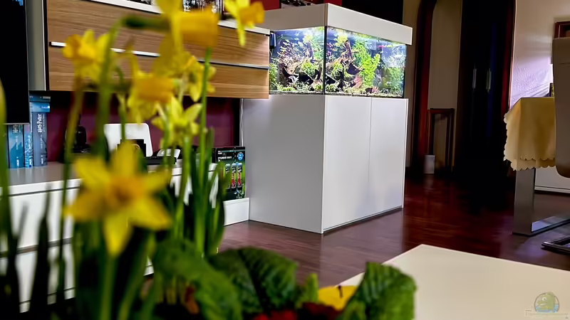 Ostern 2024 von Tim1979 (3)