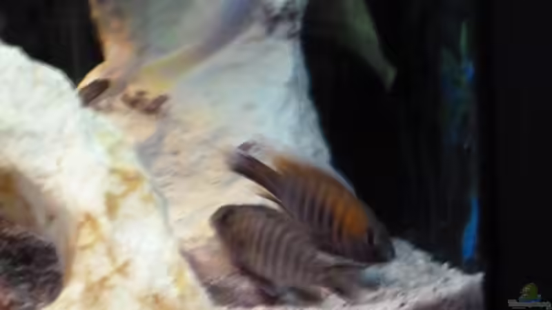 Ostersonntag: Die Eurekas spielen mit den Eiern von Couro (26)