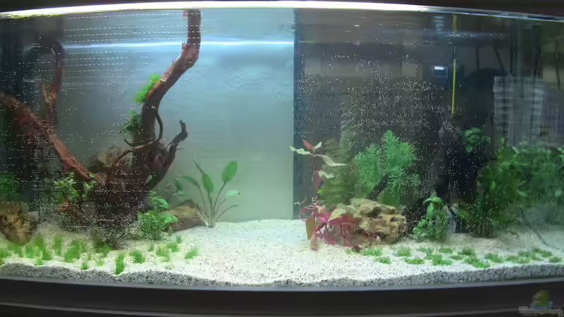 Overview_1 Tag von Jonas (Trancemania) (6)