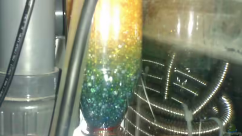 Ozon in meinem Malawiaquarium, Erfahrungsbericht und Tuning