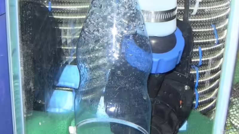 Ozon in meinem Malawiaquarium, Erfahrungsbericht und Tuning