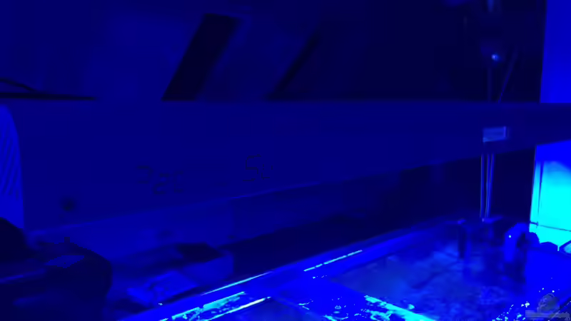 Pacific Sun von OperatorD (3)