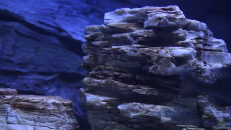 Pagodenstein,rechte Seite des Beckens,15.11.08 von Florian Bandhauer (23)