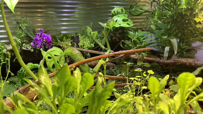 Paludariumaufsatz von Christian Schulz (4)