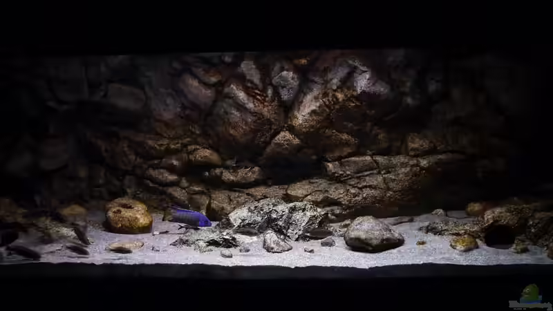 Panorama 02.11.2014 von DER YBBSTALER (33)