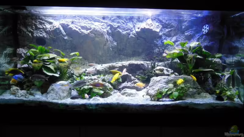 Panorama 2 von tomwu (45)