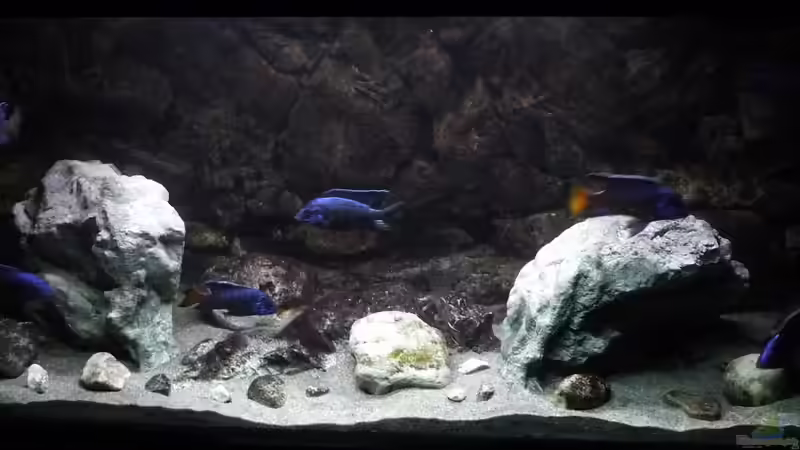 Panorama April 2017 von DER YBBSTALER (38)