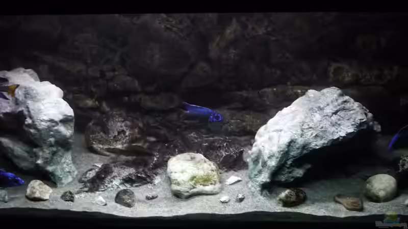 Panorama April 2017 von DER YBBSTALER (39)