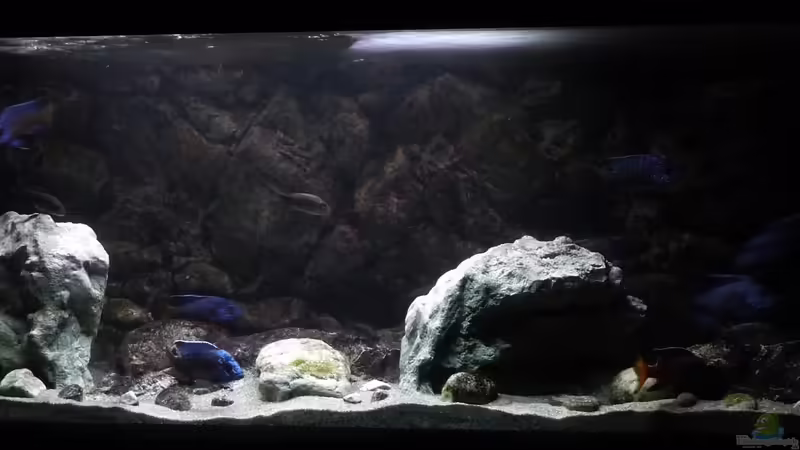 Panorama April 2017 von DER YBBSTALER (40)