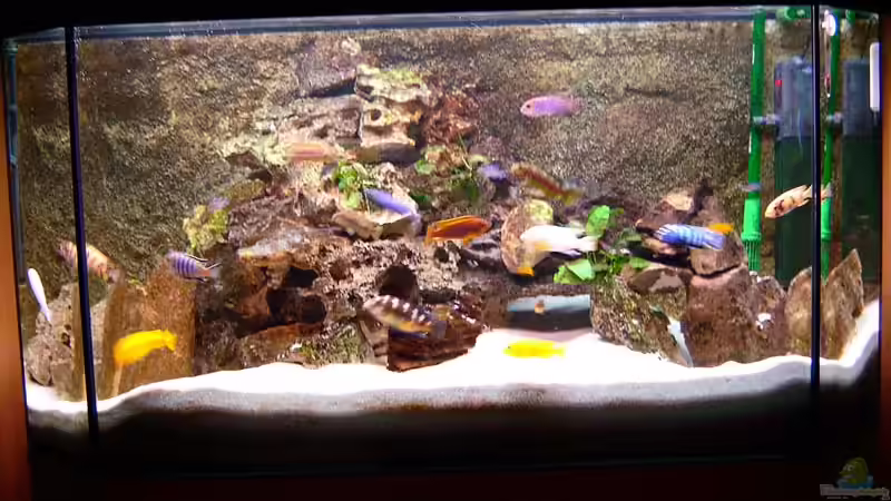 Panorama-Becken 350 L