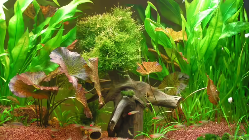 Panorama mitte von Walter Michelis (3)