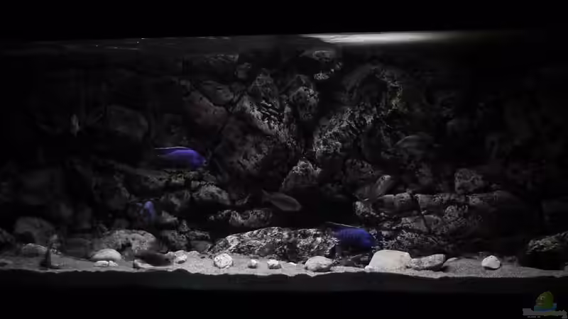 Panorama November 2015 von DER YBBSTALER (72)