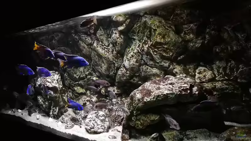 Panorama November 2017 von DER YBBSTALER (42)