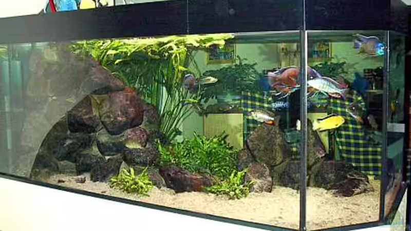 Panorama-Raumteiler von Ingo Bertelmann (1)