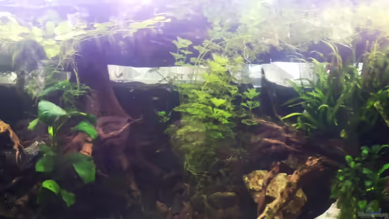 Panorama von Alexander Deepocean (8)