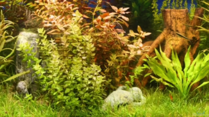 Panorama von Andreas Christ (1)