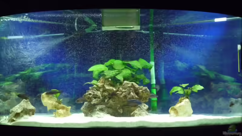 Panorama von DER YBBSTALER (1)