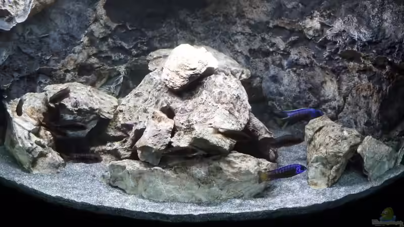 Panorama von DER YBBSTALER (6)