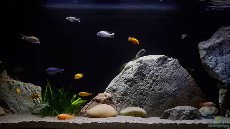 Panorama von freezer2510 (1)