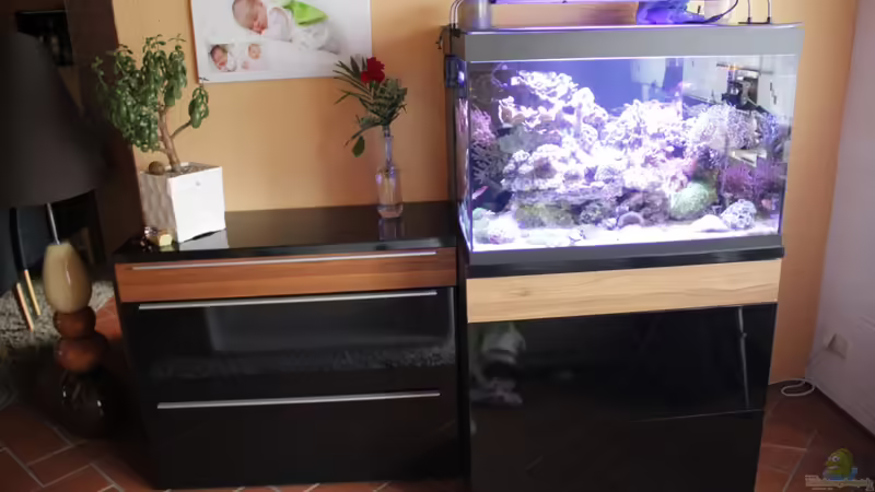 Panorama von Sven Jastrow (4)