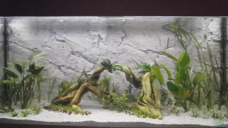 Panorama von Uwe W (14)