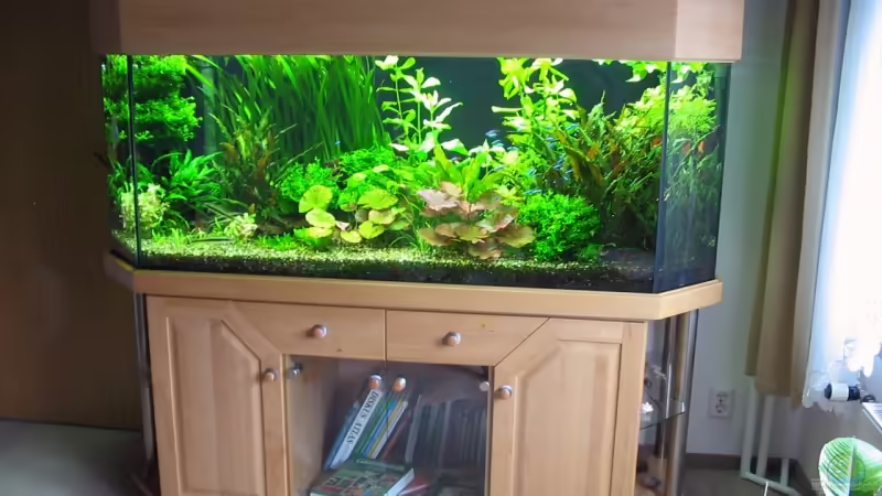 Panoramaaquarium 750l.