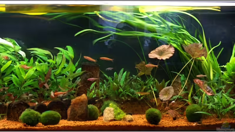 Panoramabild Gesamtansicht von Christian Zwick (8)