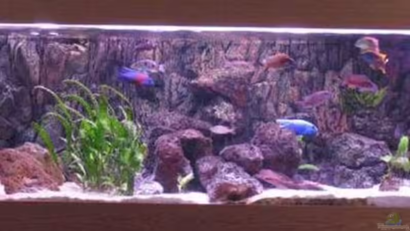 Panoramabild (nur die 2 Lake-Lampen an) von Jan Kadletz (1)