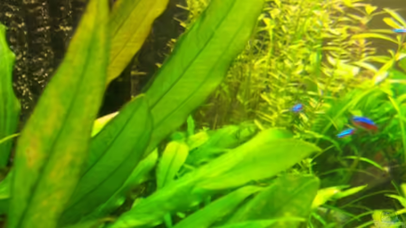 Panoramaeinsicht links von Jana_ (11)