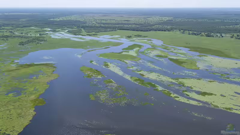Pantanal - Das größte Feuchtgebiet der Erde und seine Bedeutung für Aquarianer